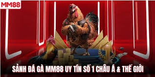 Giải trí đỉnh cao tại sảnh đá gà MM88